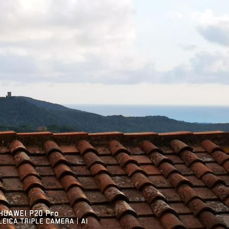 Il Nespolo Villa Castagneto Carducci Buitenkant foto