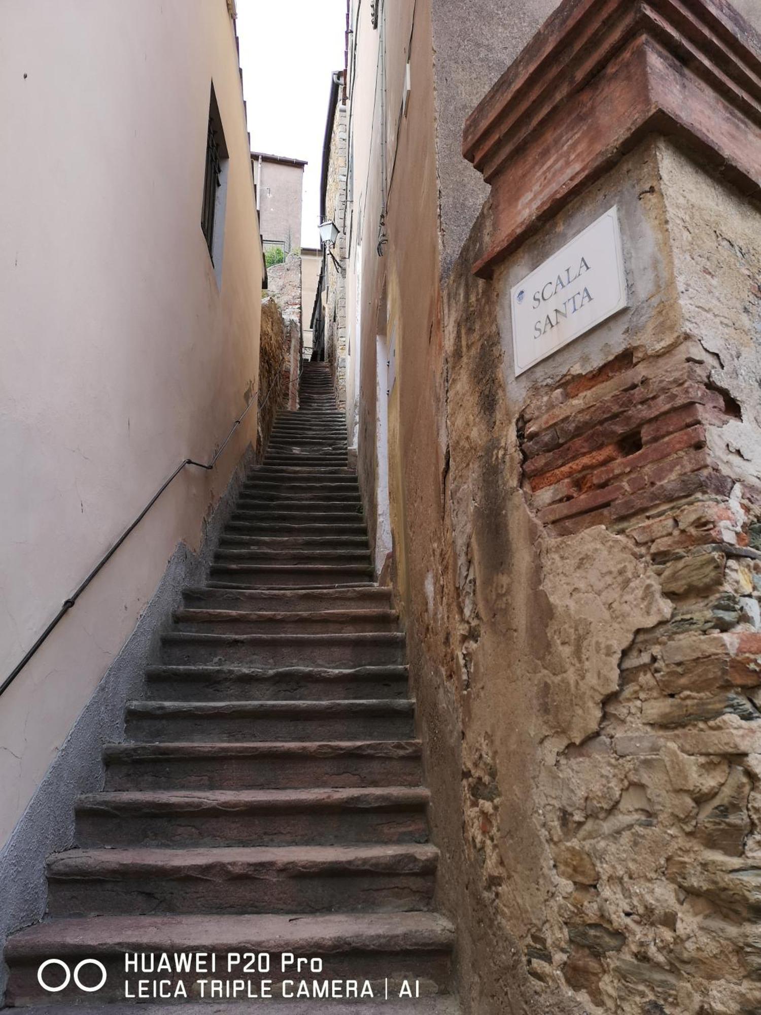 Il Nespolo Villa Castagneto Carducci Buitenkant foto